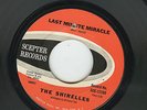NORTHERN ORIGINAL    SHIRELLES    LAST MINUTE MIRACLE     SCEPTER   EX CONDITION