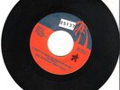MODERN BOOGIE - DYNAMIC UPSETTERS  --- I WANT A MAN TO SHAG- HEAR