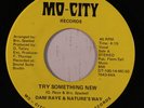 rare Modern Soul 45 DANI RAYE & NATURE'S WAY try something new MO-CITY