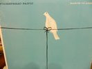 Rare Widespread Panic Vinyl LP Record Earth to America WSP