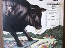 BULL ANGUS-MERCURY-ORIGINAL-GATEFOLD-1971-SIR LORD BALTIMORE-STEREO-NM-PYSCH LP
