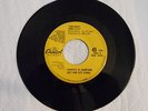 BEACH BOYS Salt Lake City / Amusement Parks 45 PROMO RARE