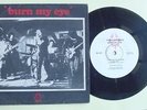 RADIO BIRDMAN 'BURN MY EYE' ORIGINAL 1976 DEBUT 7