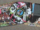 Yeah Yeah Yeahs ?– Fever To Tell * Rare Picture Disc LP * NM Secret Track 2003