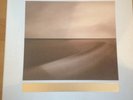 Brian Eno. Limited Edition. Small Craft On A Milk Sea. 2CD,2LP&Print. Warp.rare.