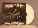 YOUTH OF TODAY Break Down The Walls 12