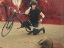 The White Stripes- RARE- 3