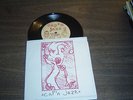 1993 45 Record, CAP'N JAZZ,  We Are Scientists/Sea Tea/Troubled+ Pic/Sleeve,MINT