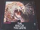 Peter Green rare '70 UK LP The End of the Game on Reprise mint-  Fleetwood Mac
