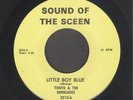 Garage 45:  Tonto & The Renigades  Little Boy Blue // MICHIGAN GARAGE PUNK  hear