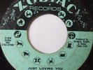 MONSTER NORTHERN SOUL   RUBY ANDREWS on ZODIAC   JUST LOVING YOU   45   HEAR IT