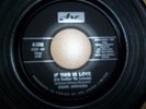 RARE EDDIE SPENCER IF THIS IS LOVE