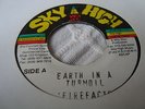 Fire Facts Earth In Turmoil Killer Digi Roots 7