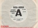 Shangri-Las - Right Now And Not Later - Red Bird Demo