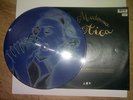 Ultra RARE Madonna Erotica picture disc original issue