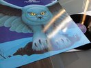 RUSH          - FLY BY NIGHT -    MINT ARCHIVE ORIGINAL ALBUM