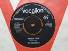 The Golliwogs - Fight Fire 1966 UK 45 HEAR IT 