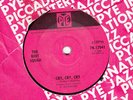 THE RIOT SQUAD *CRY CRY CRY* PYE 1966