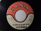 Little Herman ,45-  Put some hurt on you / Gotta keep walking - Gina # 751