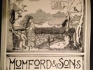 RARE Mumford and sons 'love your ground' Vinyl EP