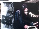 Neil Young 