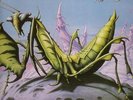 Praying Mantis                           rare  LP
