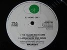 MADNESS - THE HARDER THEY COME  (UK 12