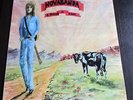 NOVA BANDA A Procura de Nada LP Vinyl Rock Folk Garage Prog Pokora 5* PORTUGAL