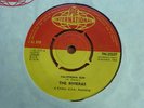 The Rivieras - California Sun 1964 UK 45