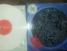 Morbid angel altars of madness lp limited coloured