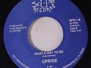 UPRISE: What A Way To Go / She's Gone 45 (private pressing, great raw garage, f