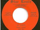 FLOYD DONES & FLINT EXECUTIVES 45  My Vision / Wheel Of Faite - NM
