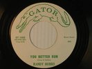 RANDY HOBBS r&b-garage 45 YOU BETTER RUN / OH JULIE   GATOR VG+