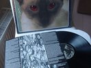 BLINK 182 original first edition black Vinyl LP Chesire Cat (1996 Cargo Records)