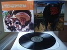 BLINK 182 original first edition black Vinyl LP Dude Ranch (1997 Cargo Records)