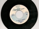 (NORTHERN SOUL) VONTASTICS - I'LL NEVER SAY GOODBYE / DON'T MESS AROUND