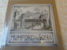 Mumford and Sons 'Love Your Ground' EP VINYL new