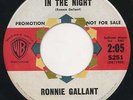 Ronnie Gallant In The Night / The Hole In The Wall  Sweet Belgium Pop Listen