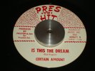CERTAIN AMOUNT Is this the Dream PRES TO HIT Orig '60s Florida GARAGE 45 RARE