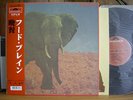 FOOD BRAIN - SOCIAL GATHERING Japan prog VINYL LP P-Vine RE Obi NEW Foodbrain