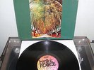 Dzyan Time Machine Original BLPS 19161Q Krautrock in MINT