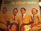 Buddy Holly The Chirping Crickets PROMO Bunswick 54038 Rockabilly classic