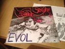 Sonic Youth - EVOL