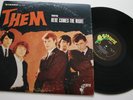 THEM Self Titled LP Here Comes The Night PARROT stereo