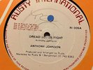 Anthony Johnson -  Dread Locks Fight - killer 12