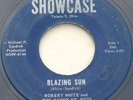 Toledo Ohio Hillbilly Bluegrass 45 - ROBERT WHITE & CANDY MTN BOYS - Blazing Sun