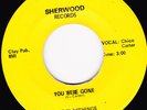GARAGE  45RPM - THE PLAYTHINGS on SHERWOOD RECORDS