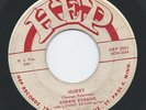 PRIVATE RARE 1958 MN Rockabilly 45 - ROBBIE ROBBINS 