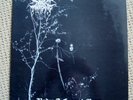 DARKTHRONE  