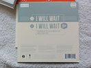 Mumford and Sons-i will wait 7